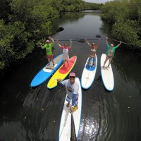 Stand Up Paddle Boarding