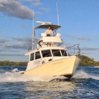 Deep Sea Fishing Aruba Roberto's Snorkeling Aruba