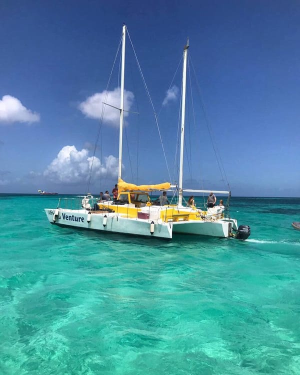 The Sea Venture with its yellow canopy, at anchor in turquoise water